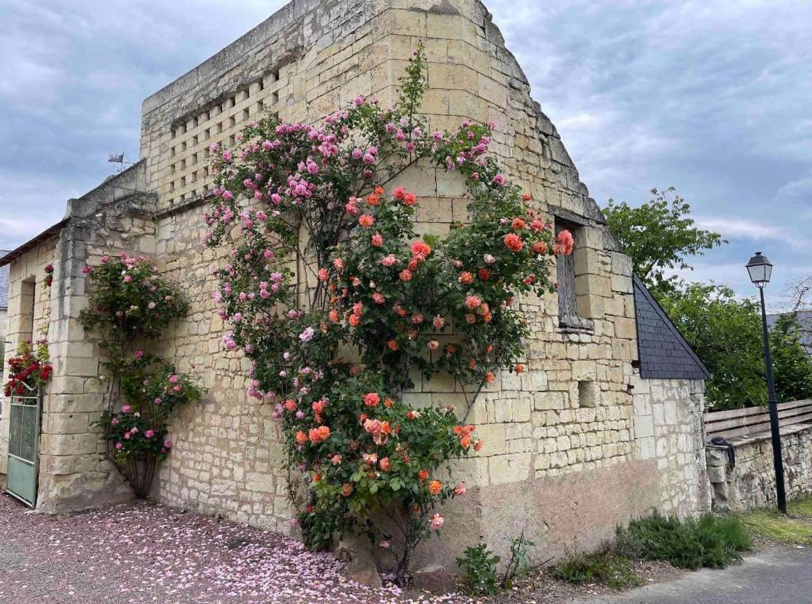 Le Colombier Apartment Le Coudray-Macouard Luaran gambar